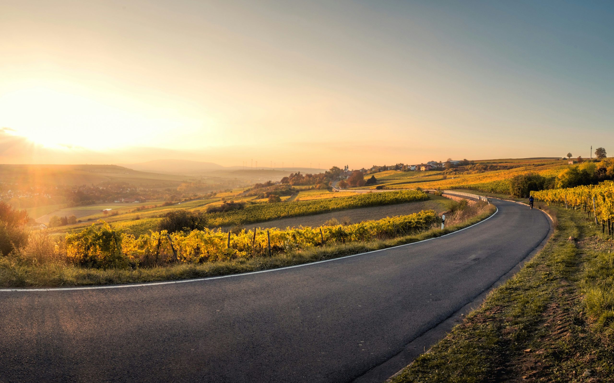 Malerische Ansicht der Deutschen Weinstraße, die sich durch einen Weinberg schlängelt bei Sonnenuntergang. Goldenes Licht hebt die Hügel und die weite, mit Reben bedeckte Landschaft hervor. copyright Foto: unsplash.com/Karsten Würth